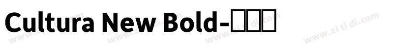 Cultura New Bold字体转换